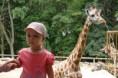 /album/zoo-lesna/dsc05842-jpg/