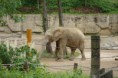 /album/zoo-lesna/dsc05855-jpg/