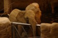 /album/zoo-lesna/dsc05869-jpg/